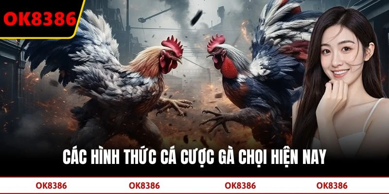 Các hình thức cá cược gà chọi hiện nay