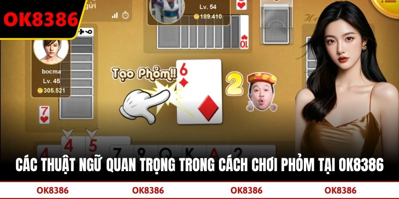 Các thuật ngữ quan trọng trong cách chơi phỏm tại OK8386