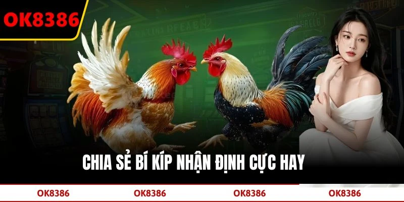 Chia sẻ bí kíp nhận định cực hay