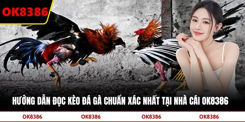 Hướng Dẫn Đọc Kèo Đá Gà Chuẩn Xác Nhất Tại Nhà Cái OK8386