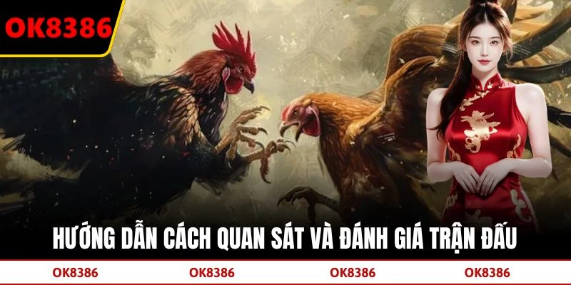 Hướng dẫn cách quan sát và đánh giá trận đấu