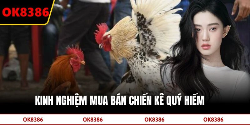 Kinh nghiệm mua bán chiến kê quý hiếm