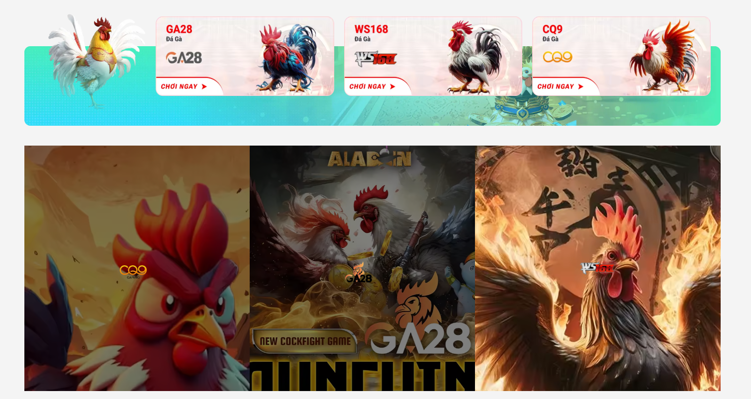 Đá gà trực tiếp Campuchia